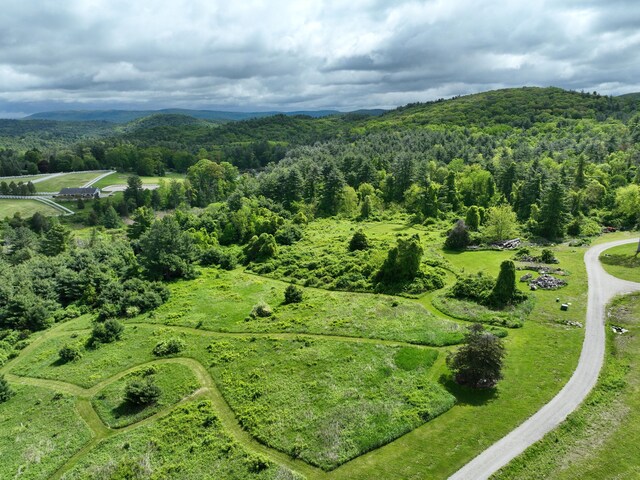 10 Red Mountain Rd, Salisbury, CT 06039