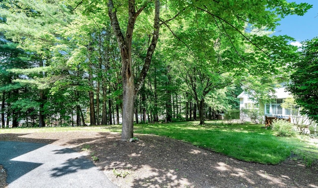 4 Pepperidge Ct Unit 4, Simsbury, CT 06070 - view of yard