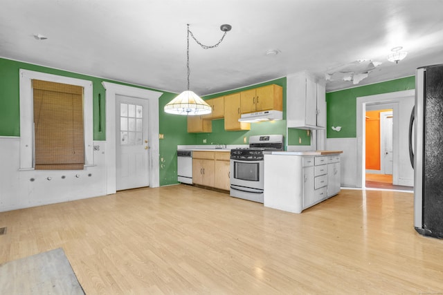 19 Elm St, Ansonia, CT 06401 - kitchen featuring appliances with stainless steel finishes, light wood finished floors, under cabinet range hood, light countertops, and a sink