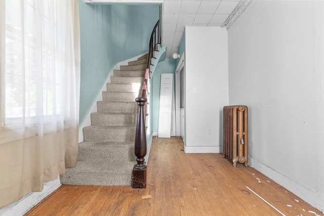 19 Elm St, Ansonia, CT 06401 - staircase with radiator, hardwood / wood-style floors, and a drop ceiling