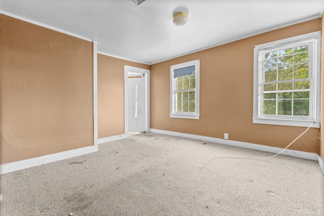 19 Elm St, Ansonia, CT 06401 - carpeted empty room with baseboards, healthy amount of natural light, and ornamental molding