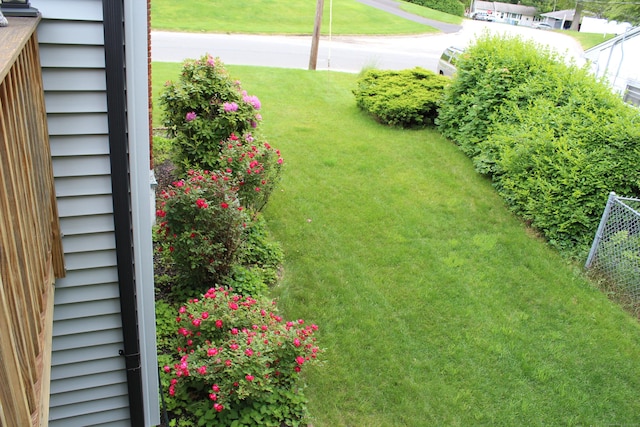 243 Courtland Ave, Waterbury, CT 06705 - view of grassy yard