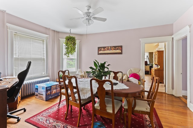 30 Newton St, Hartford, CT 06106 - dining space featuring radiator heating unit, ceiling fan, light wood-type flooring, and a desk