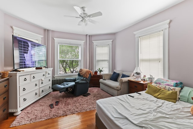 30 Newton St, Hartford, CT 06106 - bedroom featuring wood finished floors and ceiling fan