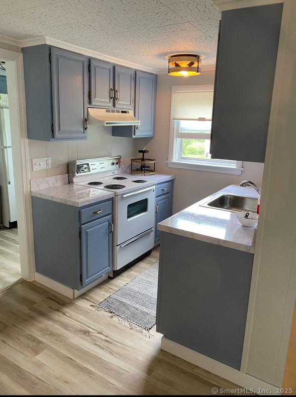 2 Dilliston Rd, Barkhamsted, CT 06063 - kitchen with white range with electric cooktop, under cabinet range hood, a sink, light wood-style flooring, and light countertops