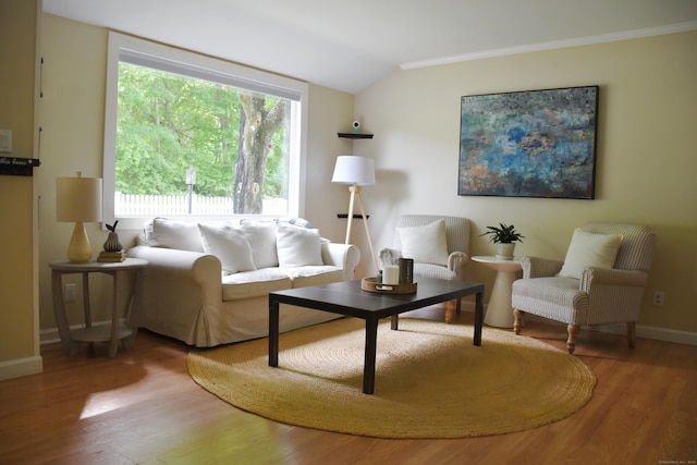 40 Mountainville Rd, Danbury, CT 06810 - living room with vaulted ceiling, wood finished floors, baseboards, and ornamental molding