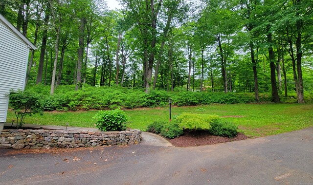 550 W Lake Ave, Guilford, CT 06437 - view of green lawn
