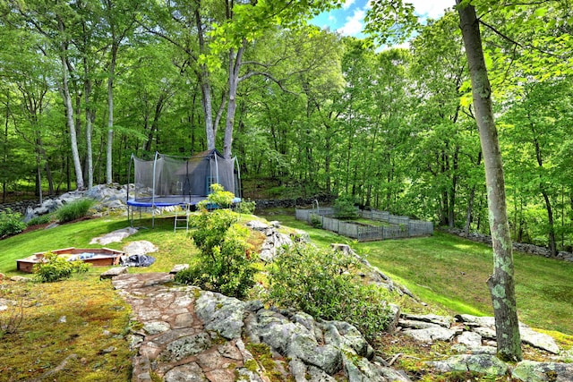 26 Freedman Ln, Monroe, CT 06468 - view of grassy yard featuring a trampoline and a vegetable garden