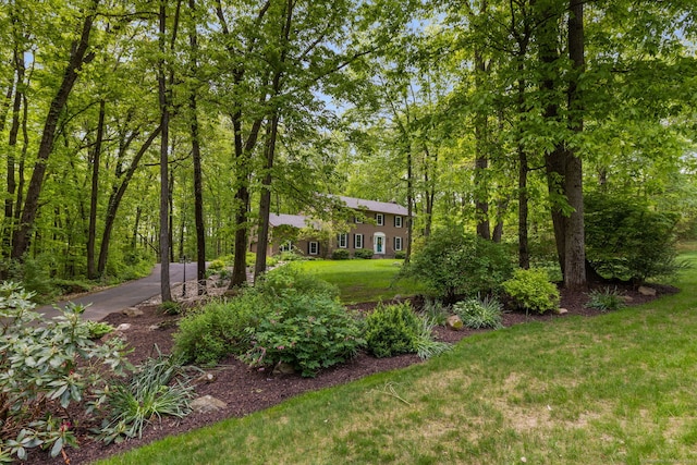 61 Winding Rdg, Southington, CT 06489 - view of green lawn