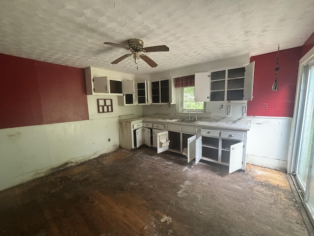 29 Middle Tpke, Mansfield, CT 06268 - kitchen with a sink, a wainscoted wall, a textured ceiling, a ceiling fan, and open shelves