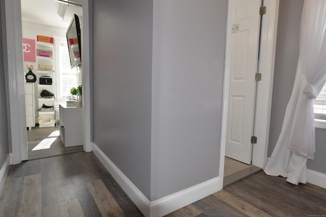 155 Cedar St, New Haven, CT 06519 - corridor with dark wood-type flooring and baseboards