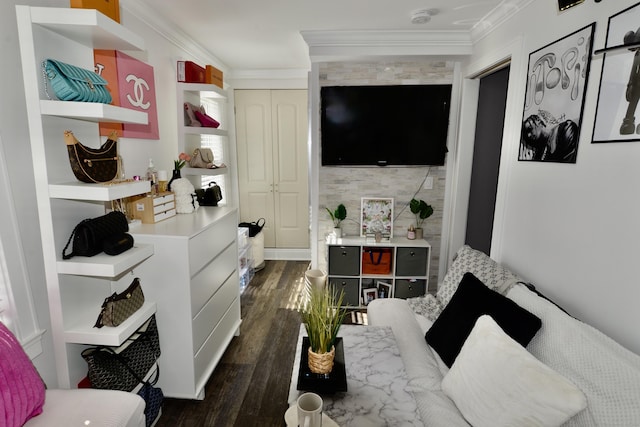 155 Cedar St, New Haven, CT 06519 - living area with dark wood-style flooring and crown molding