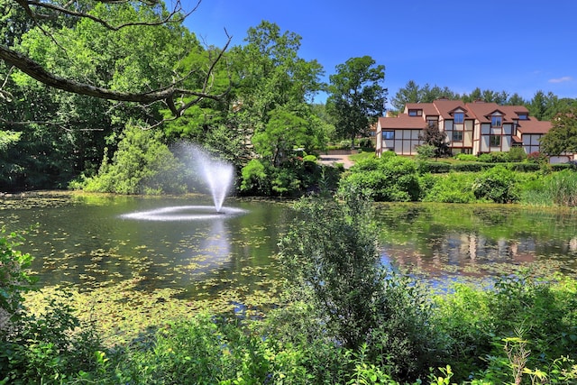 690 Forest Rd Unit 442, West Haven, CT 06516 - water view