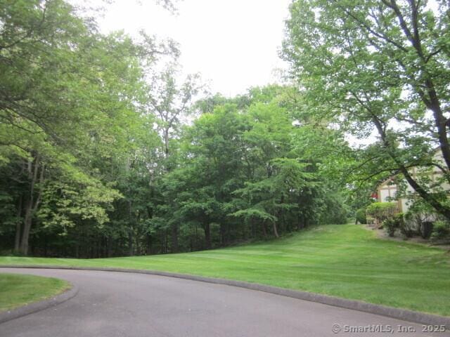 690 Forest Rd Unit 442, West Haven, CT 06516 - view of street featuring curbs