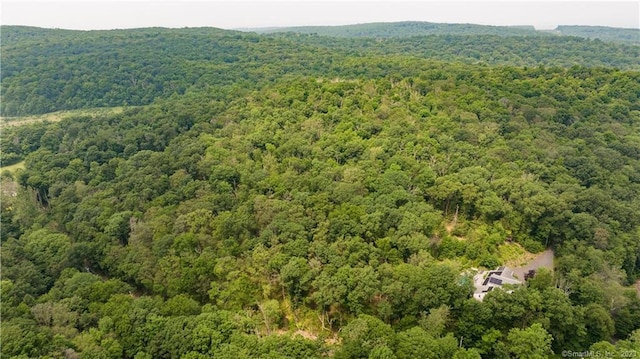 36 Old Johnson Ln, Middletown, CT 06457 - aerial view of property and surrounding area with a forest
