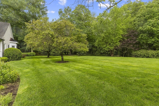 34 Carrington Dr, Greenwich, CT 06831 - photo 33