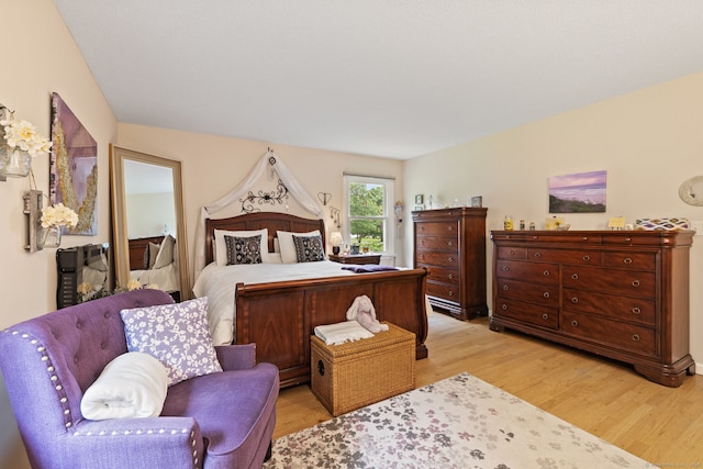19 Ridgeview Dr, Ellington, CT 06029 - bedroom featuring light wood-style floors