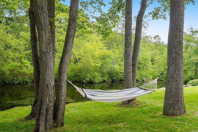 50 Parish Rd N, New Canaan, CT 06840 - view of green lawn with a view of trees and a water view