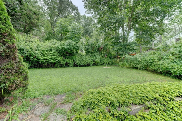285 Deepwood Dr, Lebanon, CT 06249 - photo 8