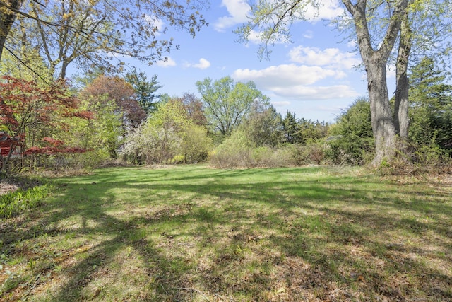 330 Meriden Ave, Southington, CT 06489 - view of green lawn