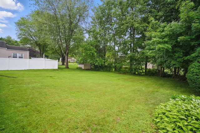 19 Litchfield Pl, Rocky Hill, CT 06067 - view of yard with a storage unit