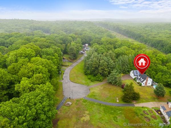 5 Conrad Ct, Ledyard, CT 06335 - bird's eye view of a forest