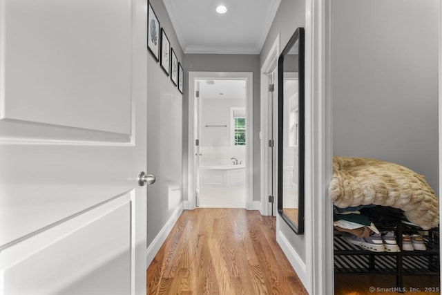 308 Old Zoar Rd, Monroe, CT 06468 - hallway featuring light wood finished floors and crown molding
