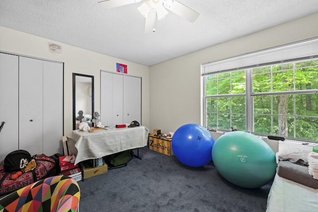745 Merrow Rd Apt 171, Coventry, CT 06238 - bedroom featuring multiple closets, carpet, a textured ceiling, and a ceiling fan