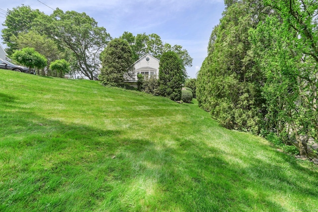 50 Harrison Ave, New Canaan, CT 06840 - view of green lawn