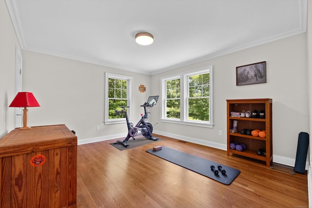 40 Thunder Hill Ln, Ridgefield, CT 06877 - exercise room featuring wood finished floors, ornamental molding, and baseboards