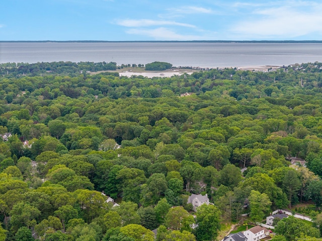 14 The Mews, Westport, CT 06880 - drone / aerial view of a forest and a nearby body of water
