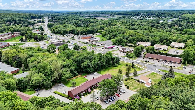 4 Loveland Hill Rd Unit F2, Vernon, CT 06066 - bird's eye view of a heavily wooded area
