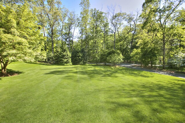 11 Dogwood Ln, Westport, CT 06880 - photo 5