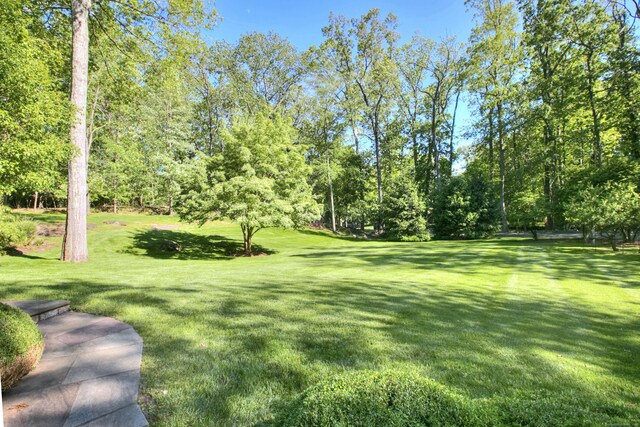 11 Dogwood Ln, Westport, CT 06880 - photo 13