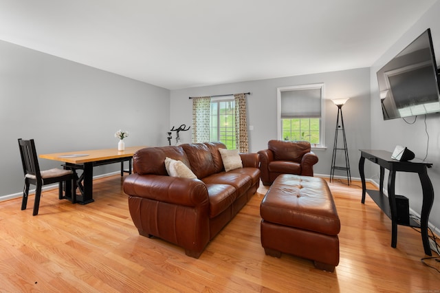 19 Hawthorne Dr Unit 124, New London, CT 06320 - living area featuring light wood-type flooring and baseboards