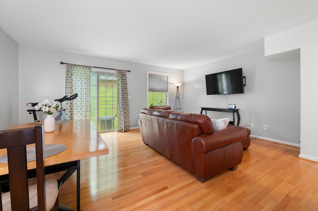 19 Hawthorne Dr Unit 124, New London, CT 06320 - living room featuring light wood-style floors and baseboards