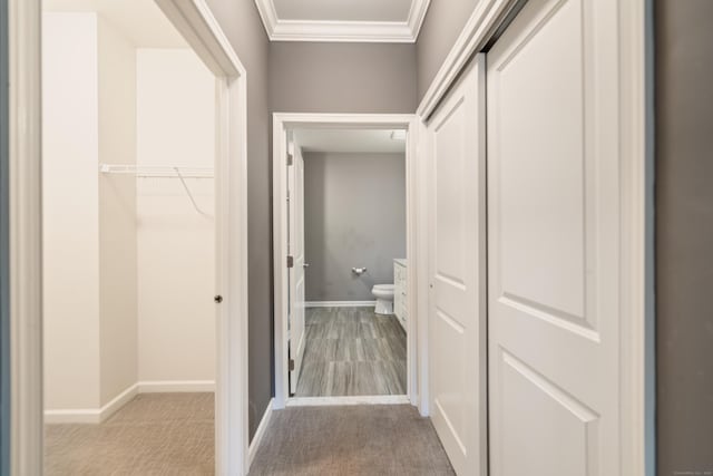802 Center Meadow Ln Unit 802, Danbury, CT 06810 - hall with ornamental molding, carpet, and baseboards