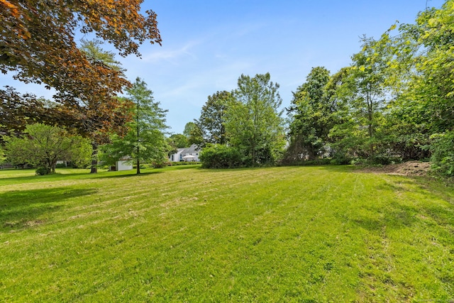 1357 Slater Rd, New Britain, CT 06053 - view of grassy yard