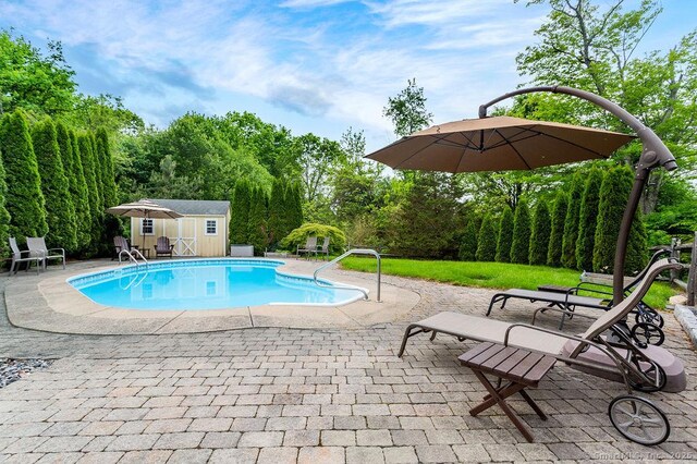 12 Fawn Ridge Dr, Brookfield, CT 06804 - outdoor pool featuring a patio area