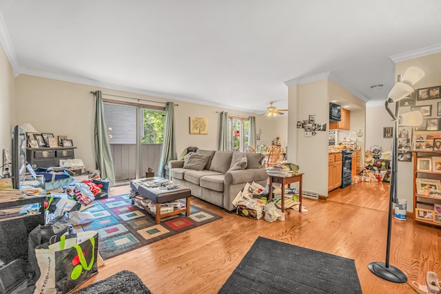 520 Vincellette St Unit C1, Bridgeport, CT 06606 - living area featuring ornamental molding, light wood finished floors, and a ceiling fan