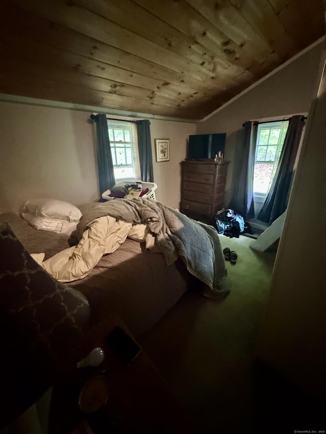 343 W Wakefield Blvd, Winchester, CT 06098 - bedroom with wood ceiling and lofted ceiling