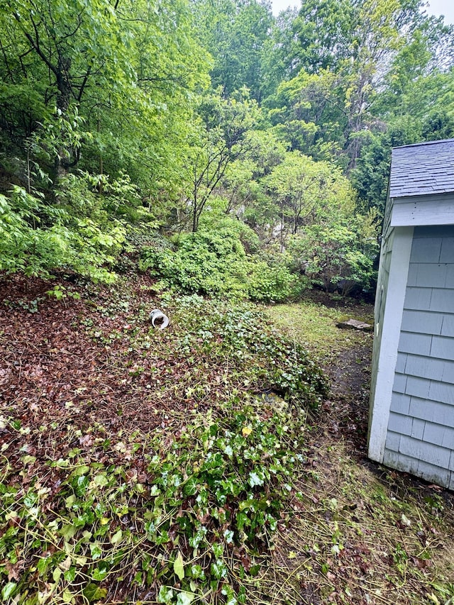 343 W Wakefield Blvd, Winchester, CT 06098 - view of yard featuring a forest view