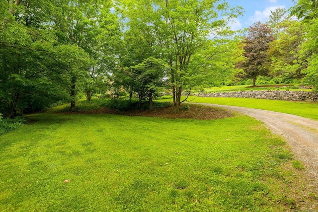 89 John Perry Rd, Eastford, CT 06242 - view of grassy yard with driveway