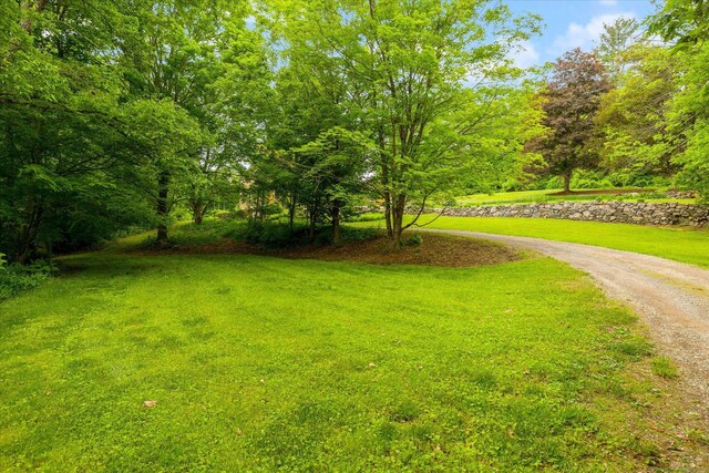 89 John Perry Rd, Eastford, CT 06242 - photo 11