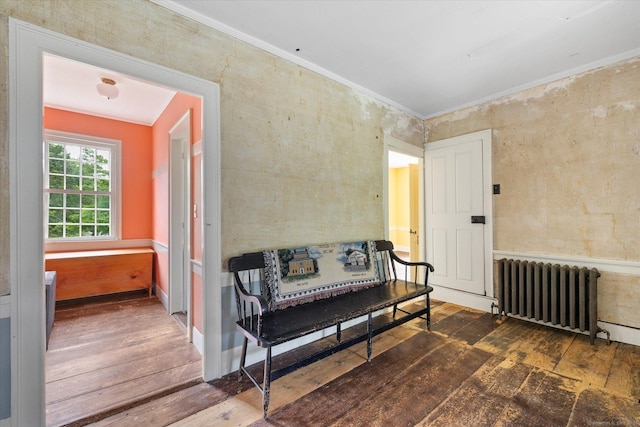 89 John Perry Rd, Eastford, CT 06242 - sitting room with radiator heating unit, wood-type flooring, and crown molding
