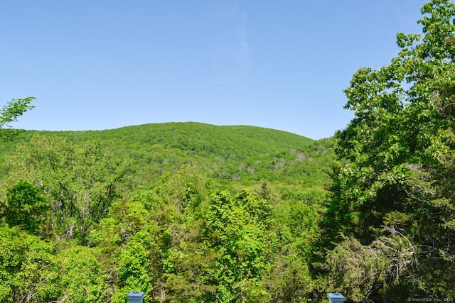 6 Lee Cir, Kent, CT 06757 - view of mountain backdrop featuring a forest