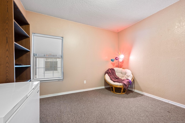 31 High St Unit 10103, East Hartford, CT 06118 - unfurnished room featuring carpet, a textured ceiling, and baseboards