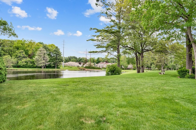 472 Carriage Dr Unit 472, Southington, CT 06489 - view of grassy yard with a water view