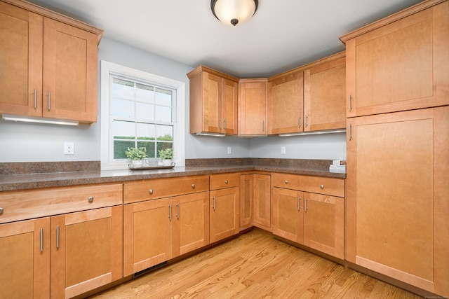 34 Fox Hill Rd, Wethersfield, CT 06109 - kitchen featuring light wood finished floors and dark countertops