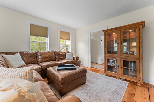 517 Wolcott Hill Rd, Wethersfield, CT 06109 - living room with light wood-style flooring and baseboards